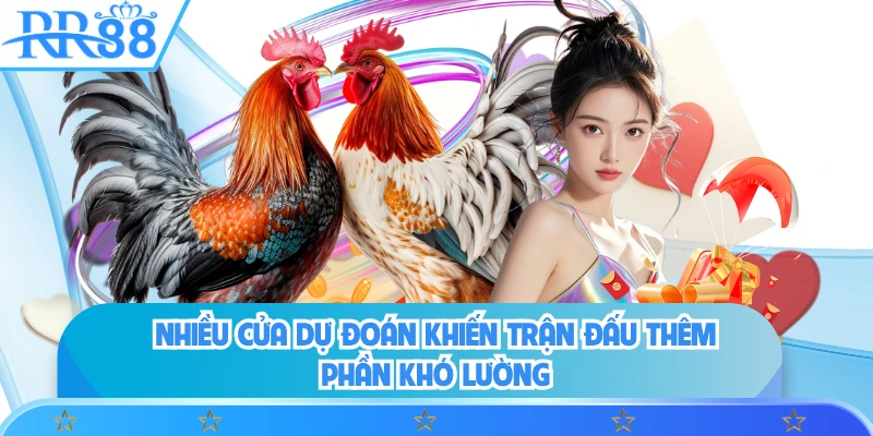 Nhiều cửa dự đoán khiến trận đấu thêm phần khó lường